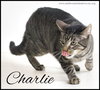 Charlie