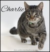 Charlie