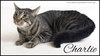 Charlie
