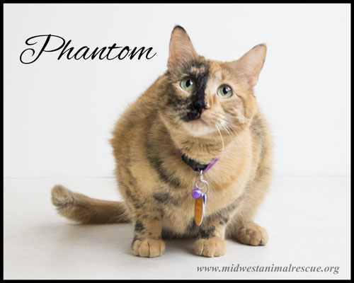 Phantom