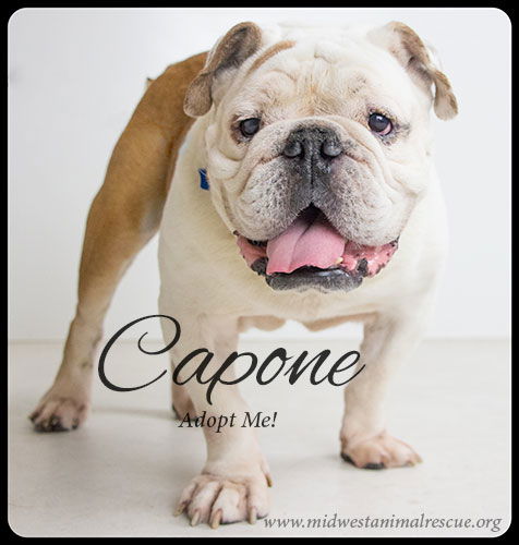 Capone