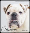 Capone