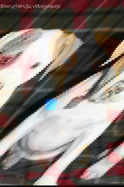 Zipzee