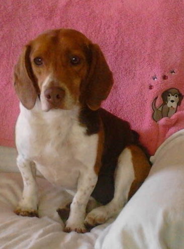 Oliver
