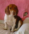 Oliver