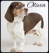 Olivia