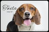 Twila