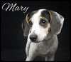Mary