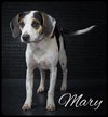 Mary