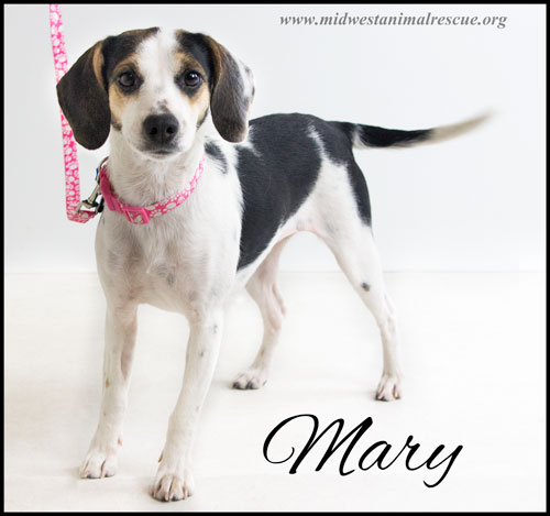 Mary