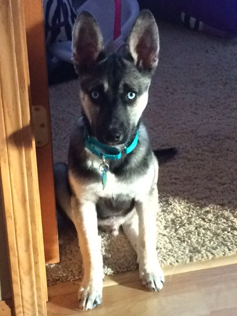 Sirius