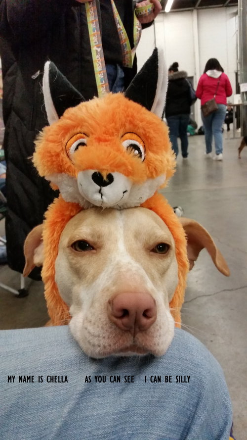 Chella