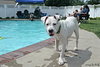 Tonka