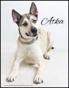 Atka