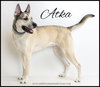 Atka