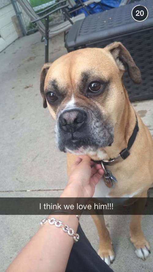 Cooper