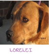 Lorelei