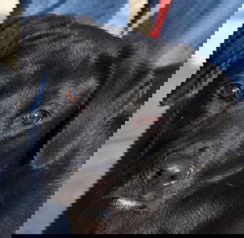 Keba