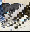 Keba