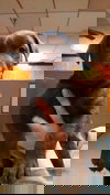 Gilana