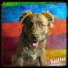 Keiffer