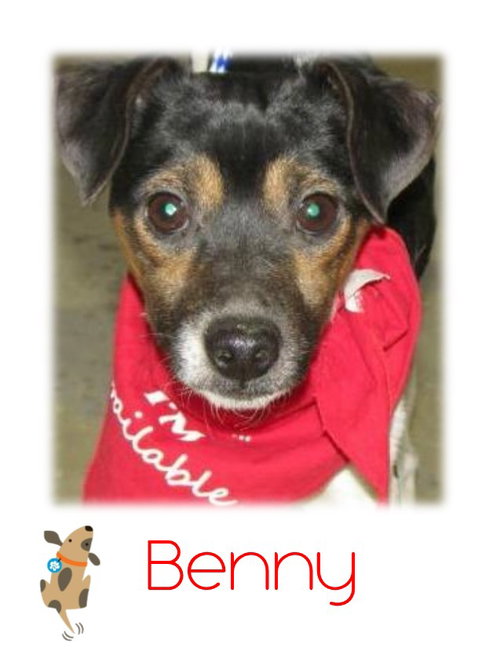 Benny