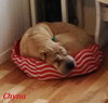 Chyna