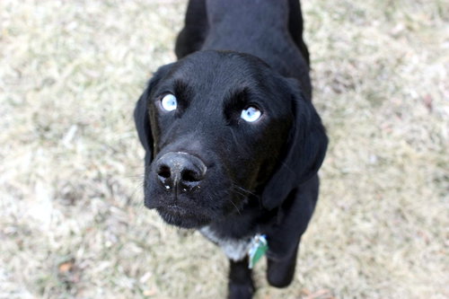 Skye