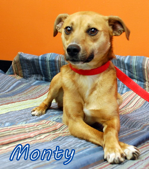 Monty