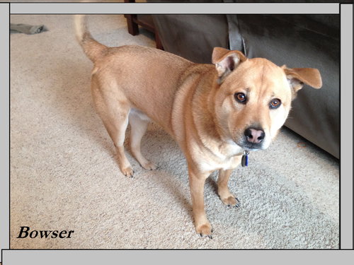 Bowser