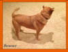 Bowser