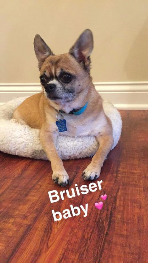 Bruiser