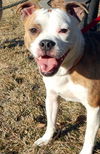 Floyd