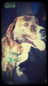 Romeo