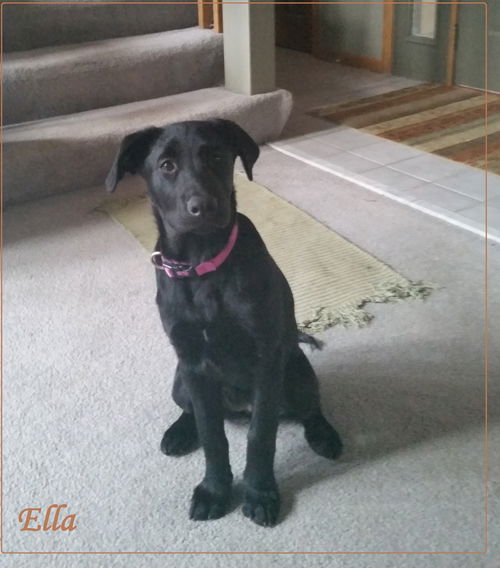 Ella