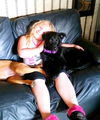 Cammi