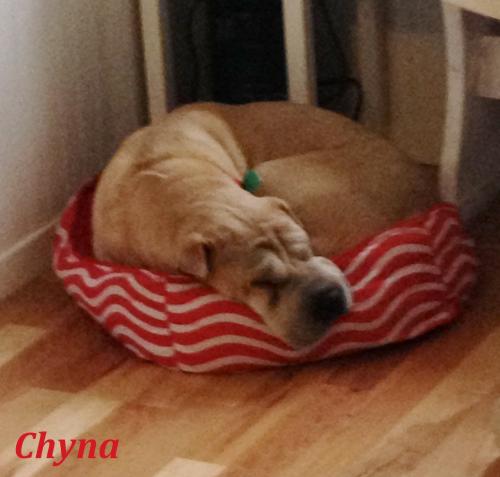 Chyna