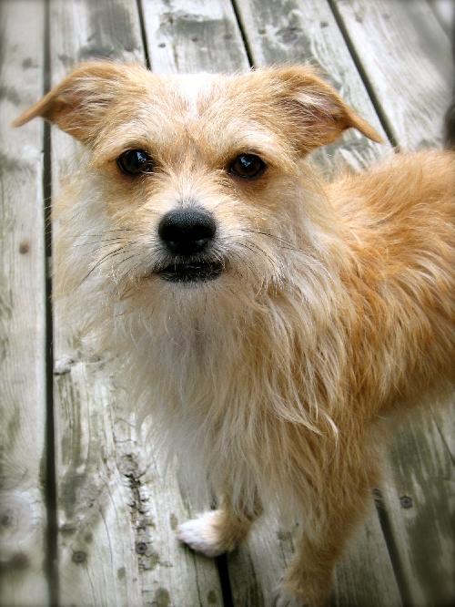 Charlie