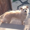 Charlie