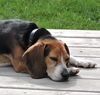 Barnaby