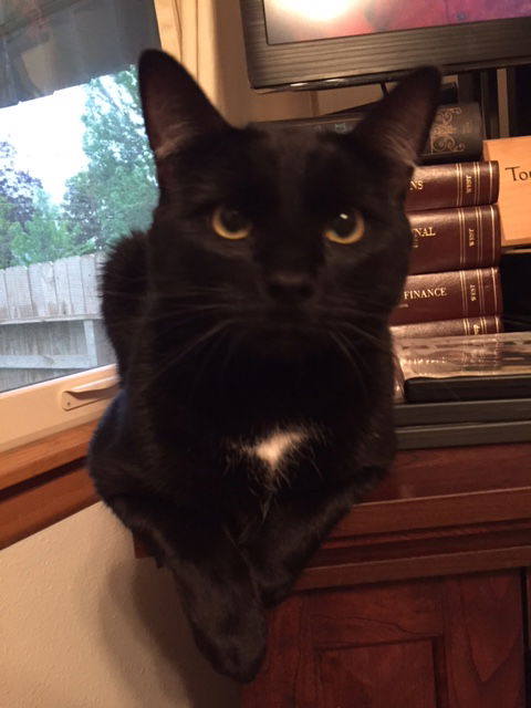 Bartholomew