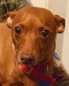 Bella-Foster Needed