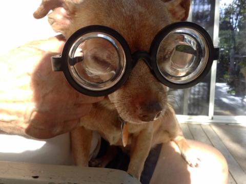Petey Sr.