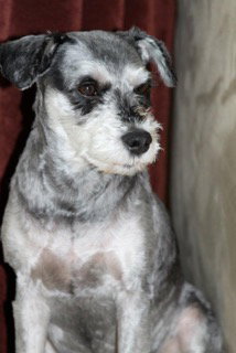 Topher