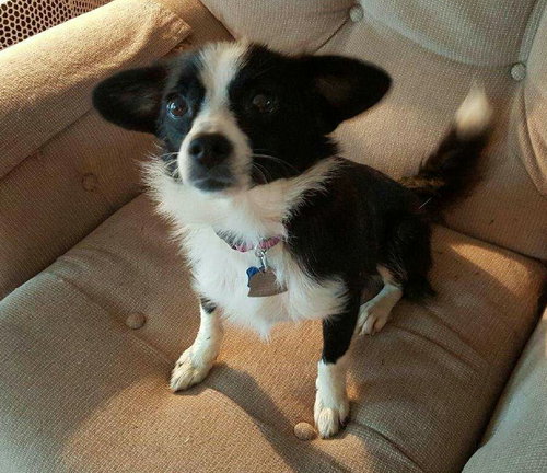 Mimi