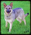 Kera