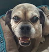 Zoey