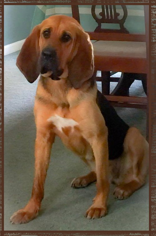 Rubi