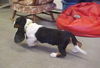 Barkley