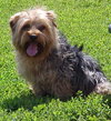 Buster